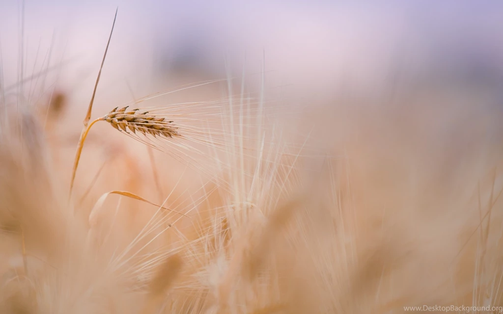 Macbook Air Wallpapers Picture   Uncalke.com