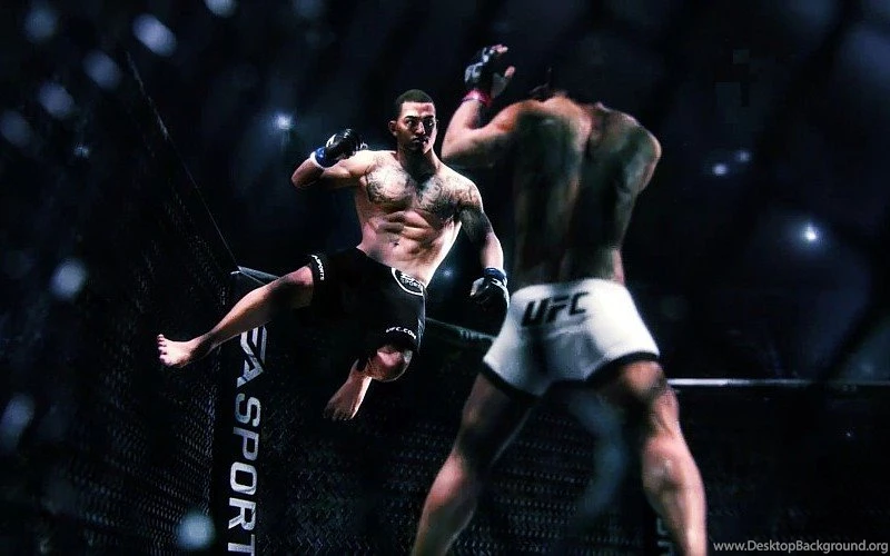 UFC Mma Fighting Martial Arts Mixed (6) Free Desktop Backgrounds ...