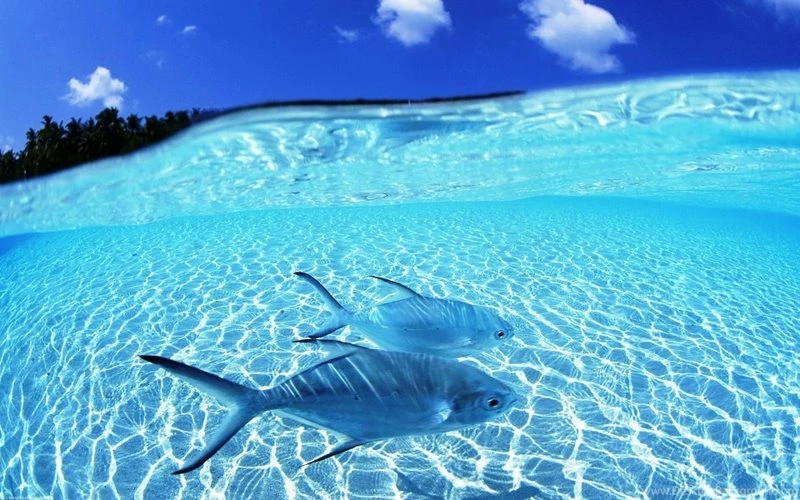 Water Blue Ocean Pacific Ocean 1920x1200 Wallpapers – Nature Oceans ...