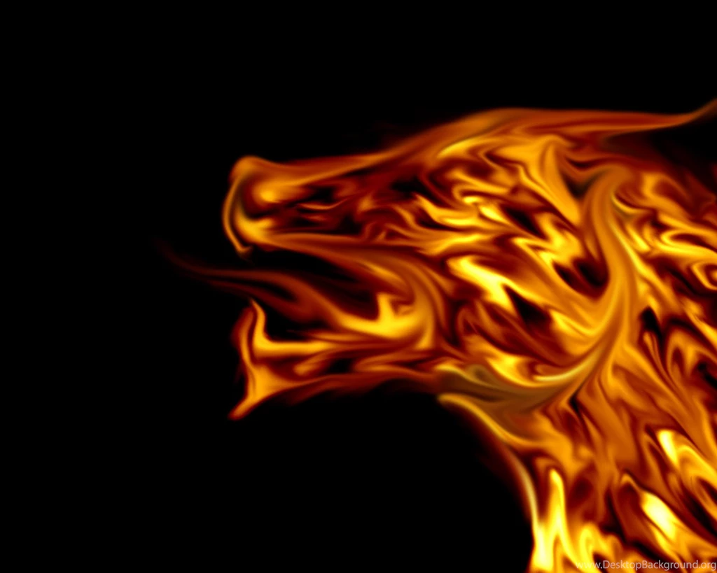Fire Dragon Backgrounds