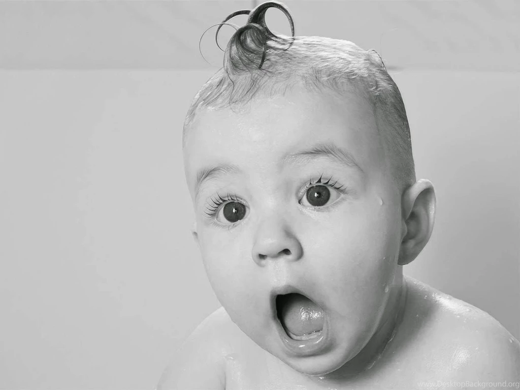 How To Get More Landlords To Use Your Lettings Agency: Charge 0 ...