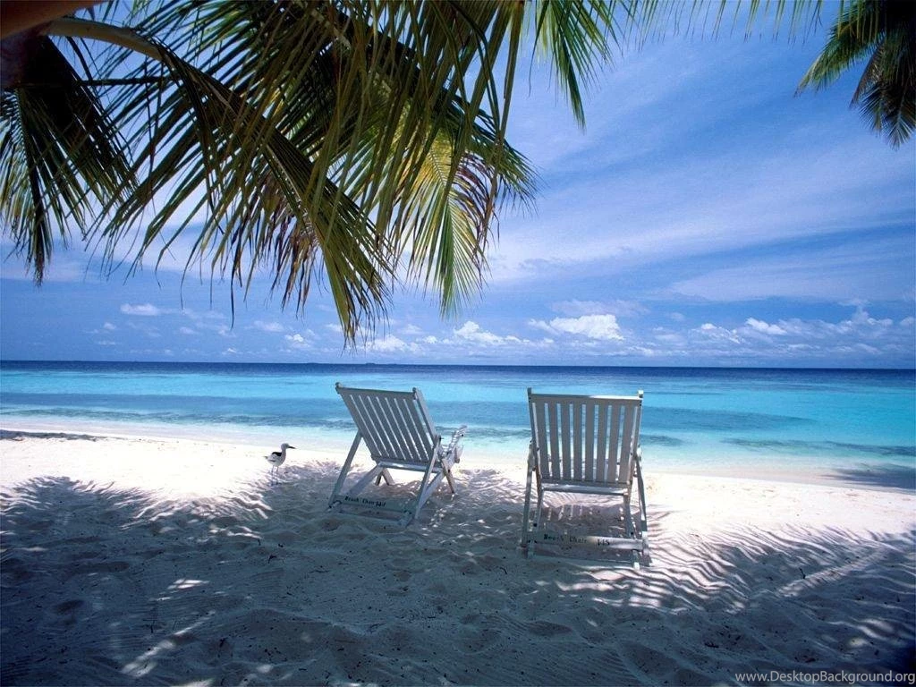 Summer Desktop Backgrounds Free Wallpapers Zone