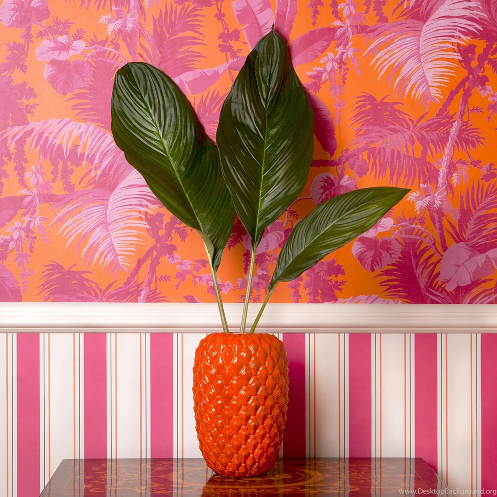 PAMPAS Wallpapers Tangerine / Azalea