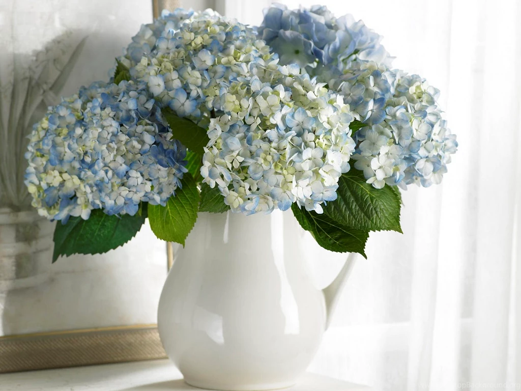 Mobile Hydrangea Wallpapers