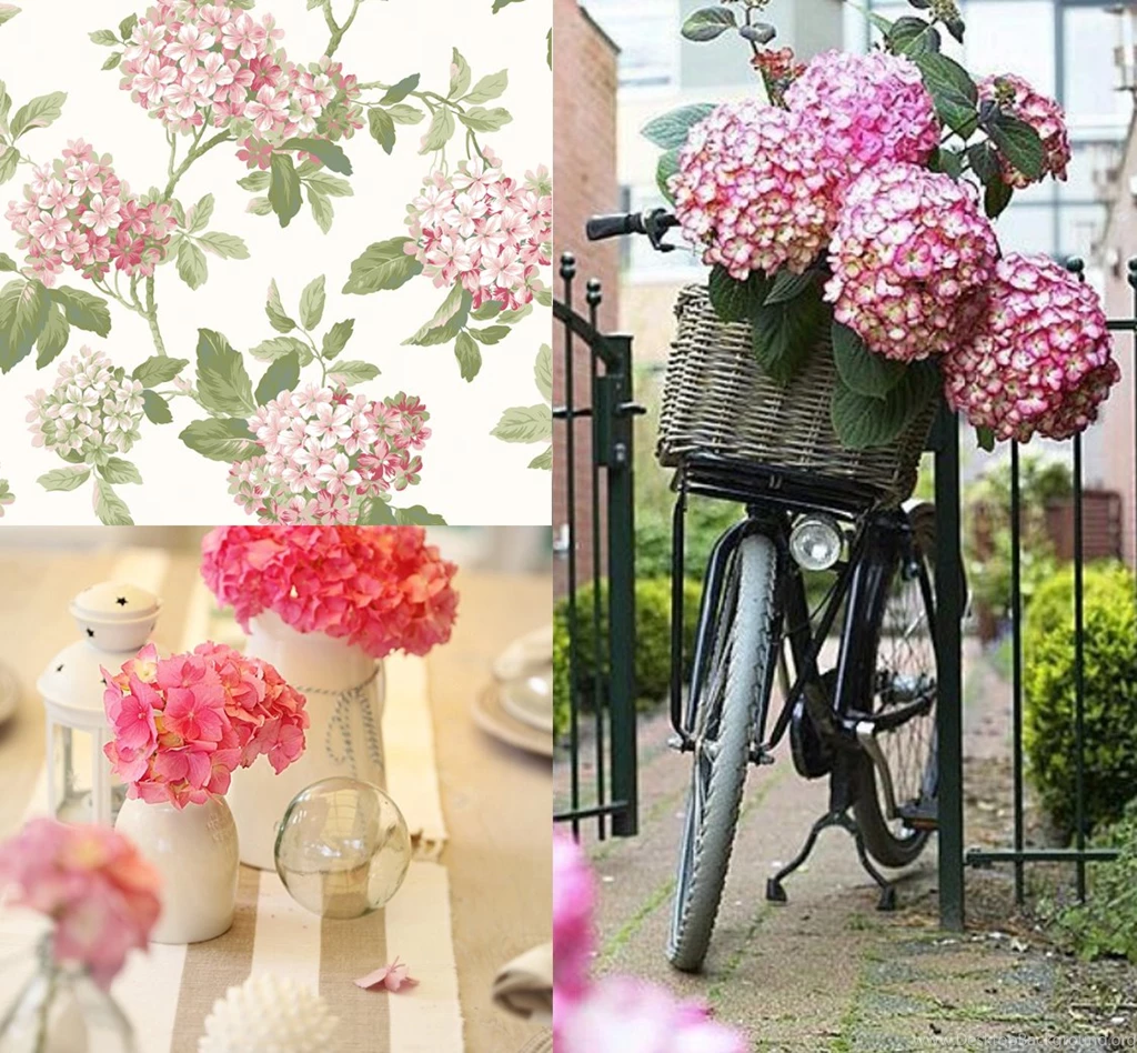 Under The Coral Sea With York Wallcoverings!