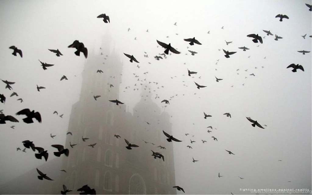 Church In The Fog : Desktop And Mobile Wallpapers : Wallippo