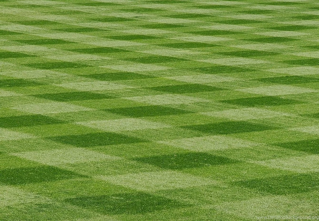 Baseball Field Backgrounds
