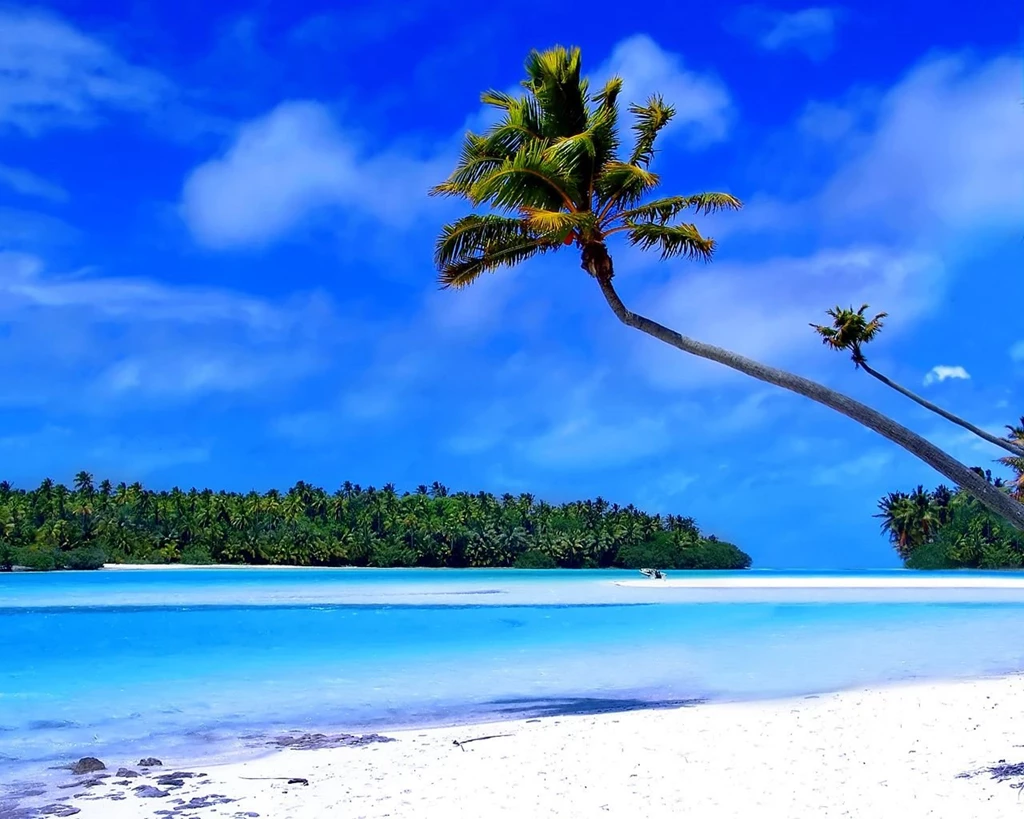 Free Caribbean Beach Wallpapers   Wallpapers Cave