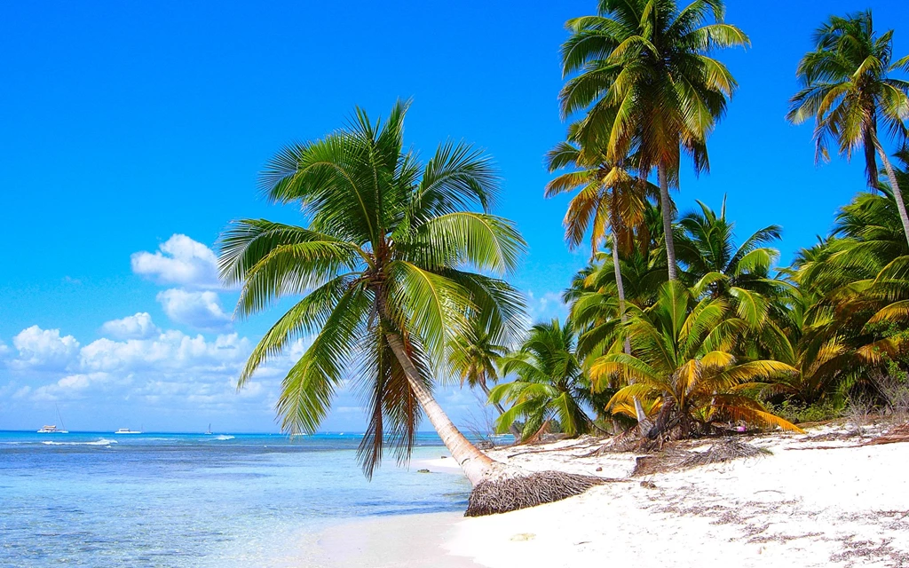 Computer Tropical Wallpapers, Desktop Backgrounds 1366x768px Id