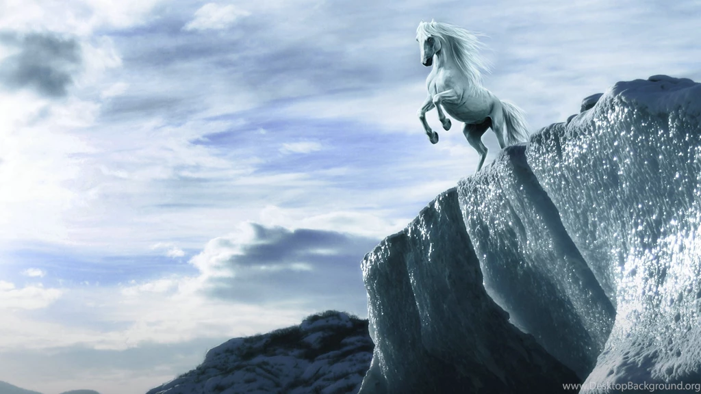 Animal Wallpaper: White Horse Wallpapers HD HD Backgrounds ...