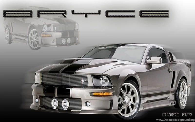 Mustang   Cool Graphic