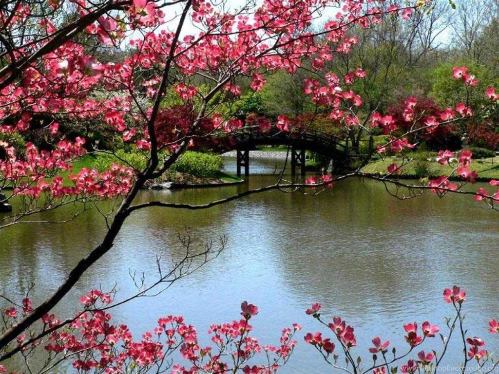 Free Spring Wallpapers
