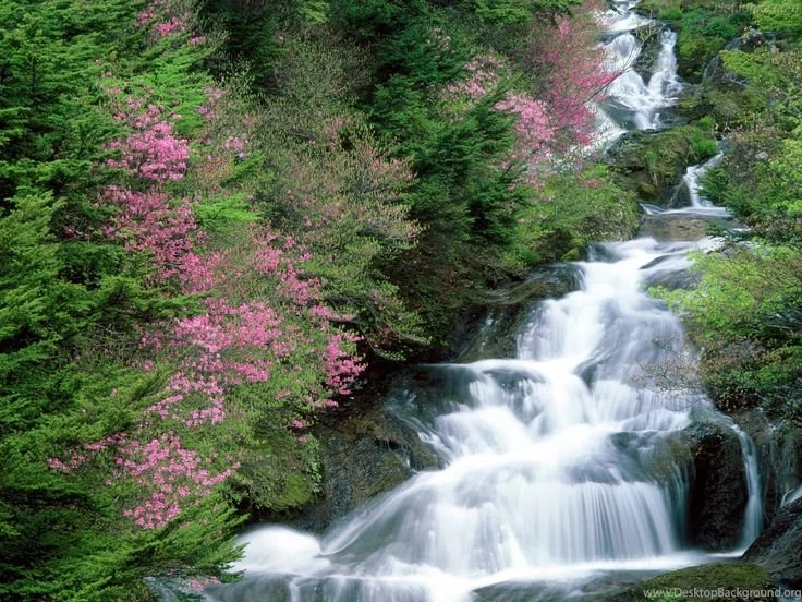 Images Of Waterfalls And Flowers
