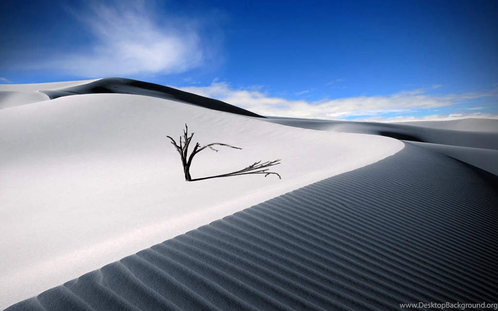 Wilderness And Desert Wallpapers