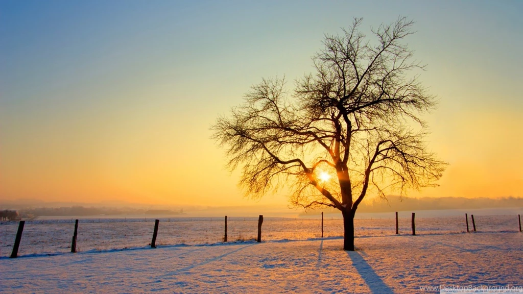 Winter Sunset HD Desktop Wallpapers : Widescreen : High Definition ...