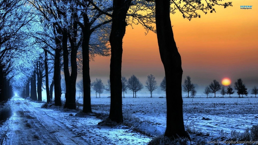 Winter Sunset Wallpapers Images Tbwnz.com