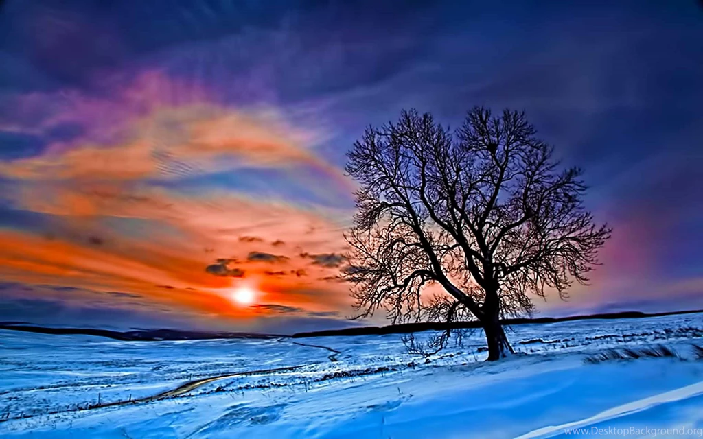 Winter Sunset Desktop Wallpapers