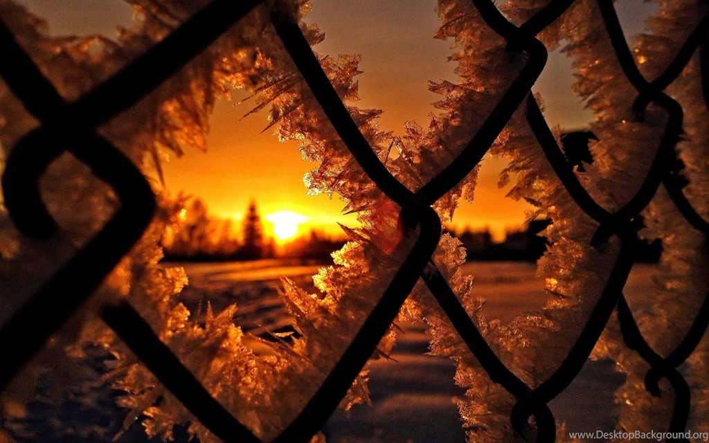 Frozen Winter Sunset Wallpapers