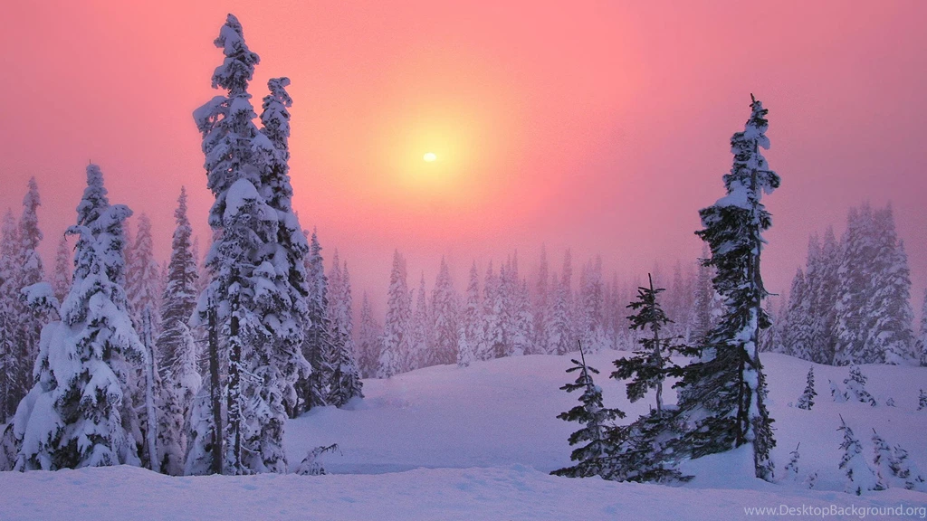 Winter Sunset Wallpapers