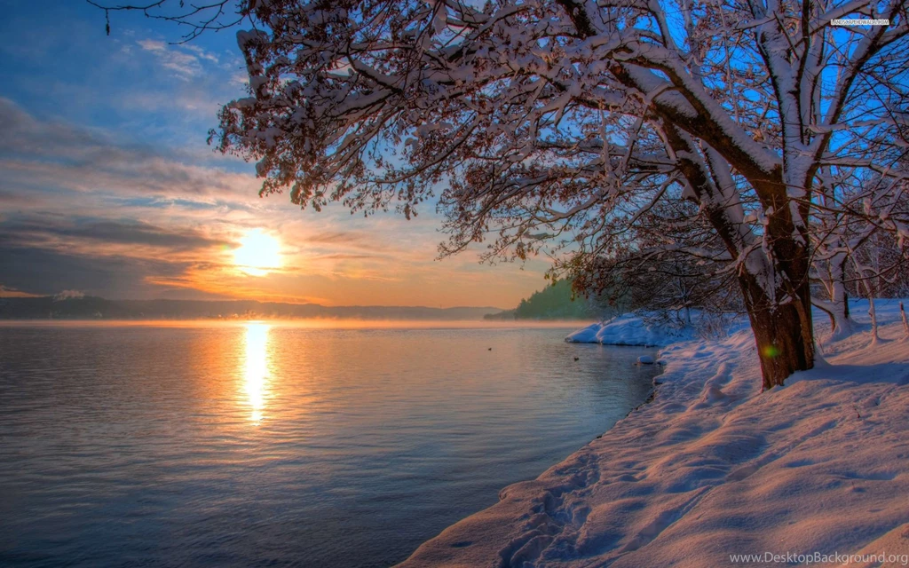 Sunset Over The Lake In The Winter, Snow, Tree, Sky, Cloud, Nature ...