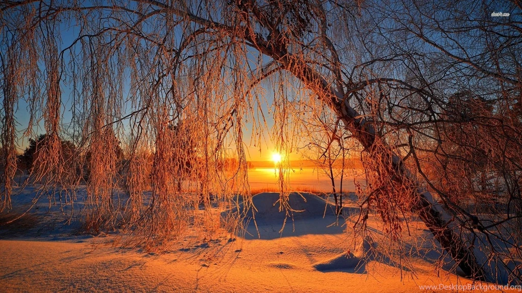 Winter Sunset Top Resolution Id: 10403f Pacify Mind