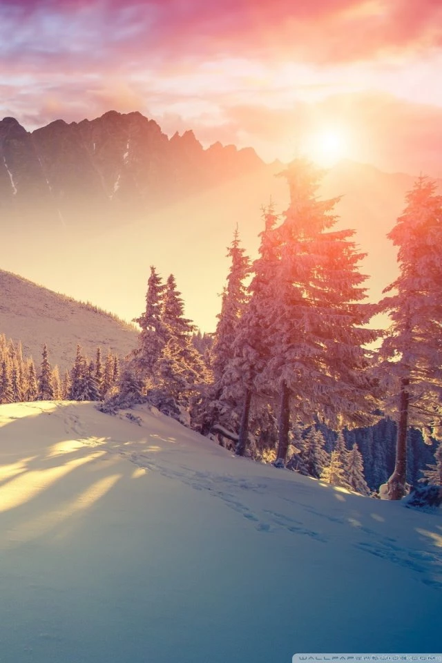 Sunset Winter Shadows HD Desktop Wallpapers : High Definition ...