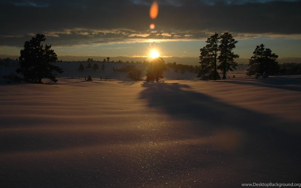Wallpapers : And Still I Persist…