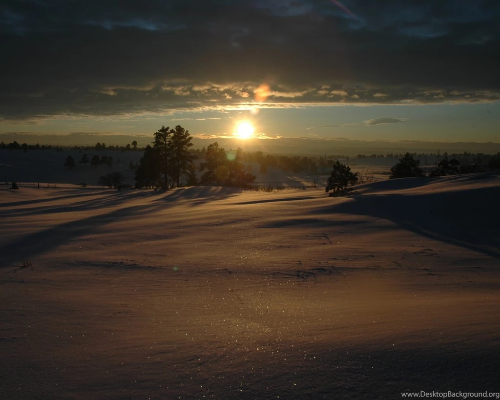 Wallpapers : And Still I Persist…