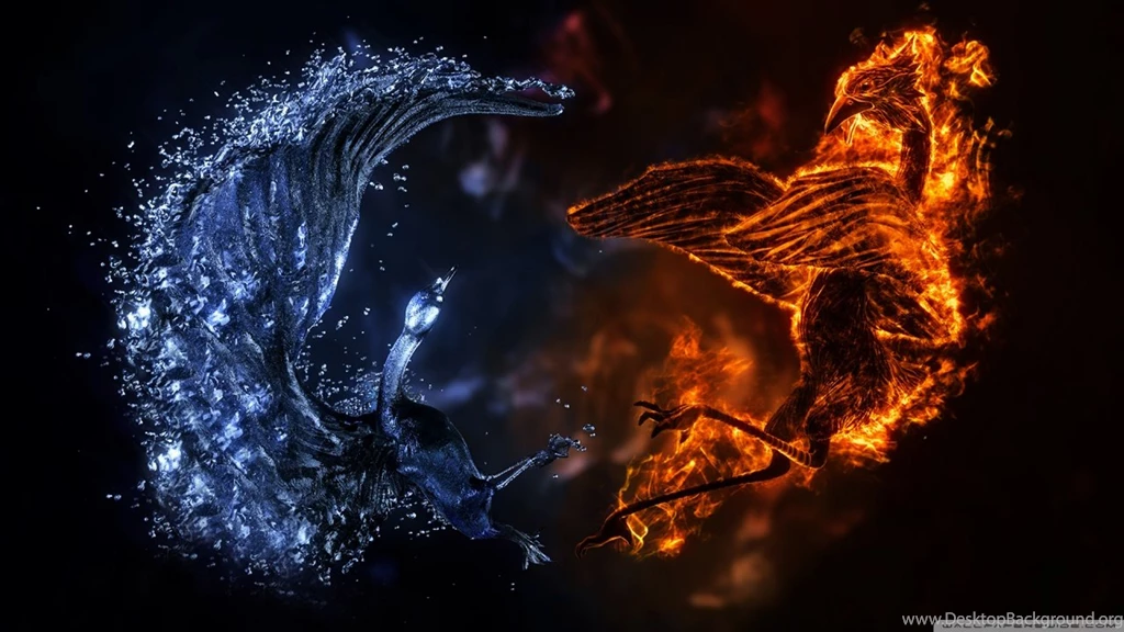 ELEMENTAL BIRDS HD Desktop Wallpapers : High Definition ...