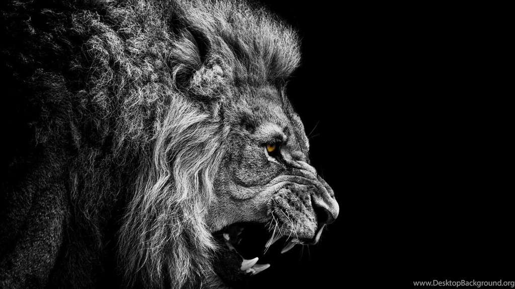 Wallpaper hd 04.jpg