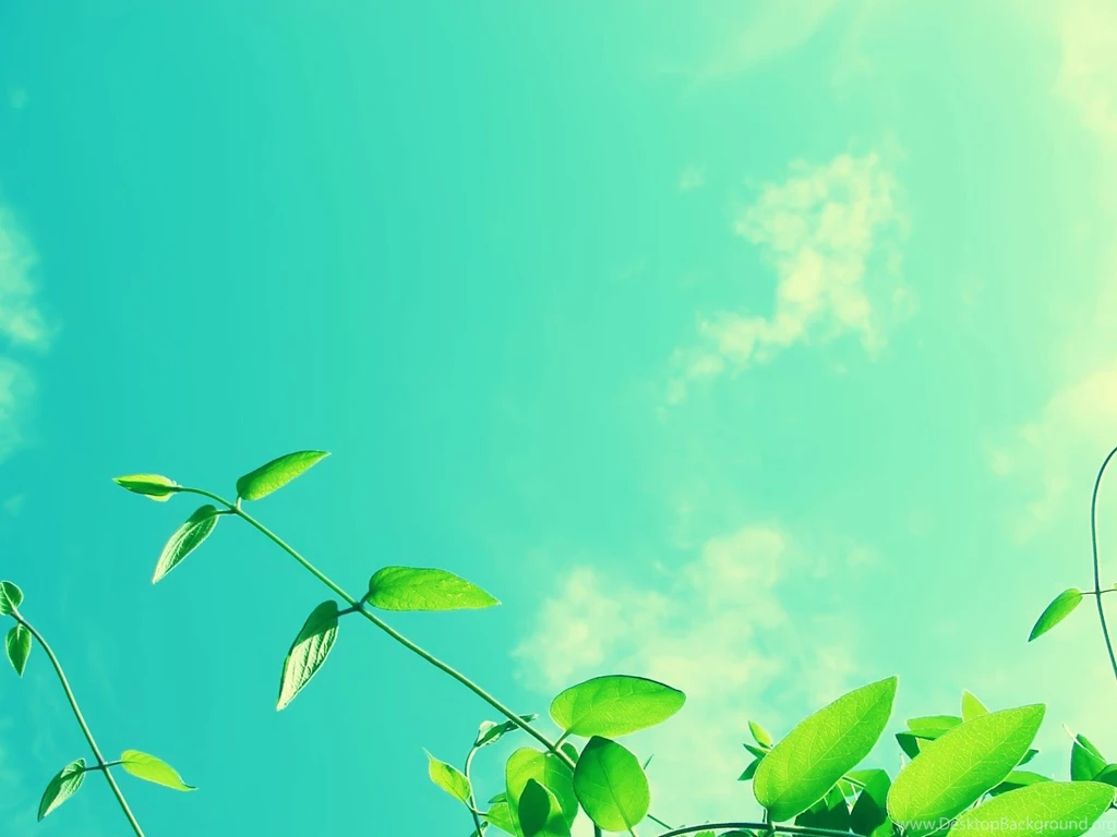 Blue Sky Vine Wallpapers 1600x1200 Wallpapers Download ...