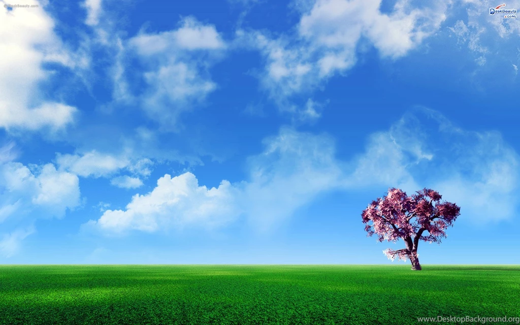 Best Pictures For Desktop Backgrounds Wallpapers High Definition