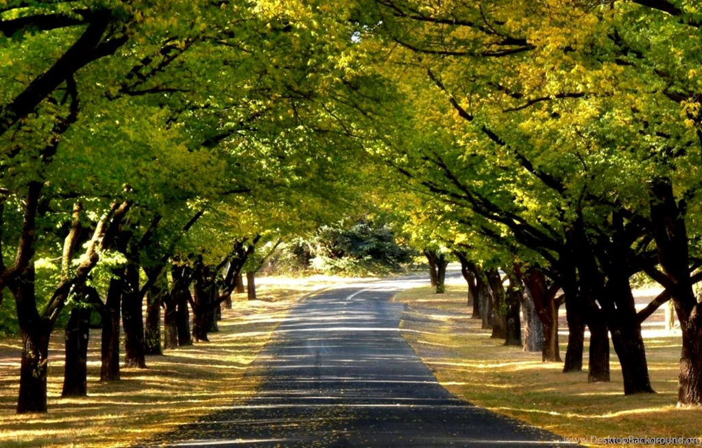 Full Hd Desktop Wallpapers For PC