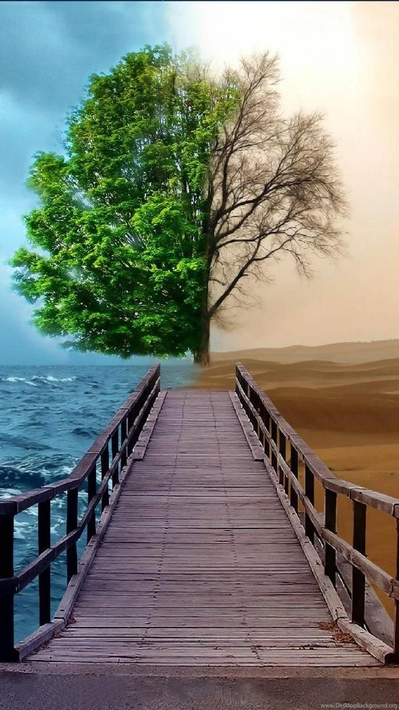 90+ Trendy Hd Phone Wallpapers Over The Top Mag