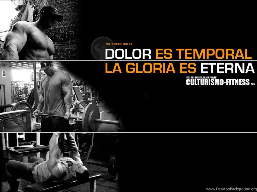 Wallpapers Gym Fitness De Culturismo Foros Ejercicios Rutinas With ...