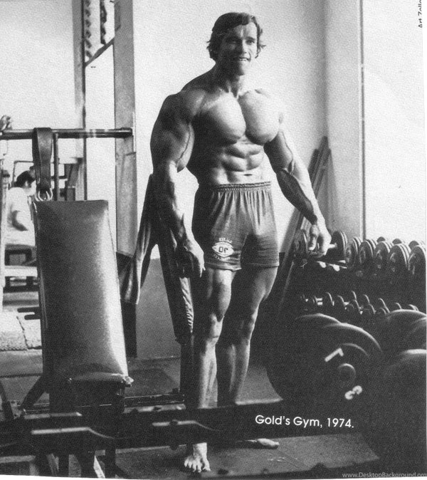 Grayscale,gym Gym Grayscale Arnold Schwarzenegger 1406x1580 ...