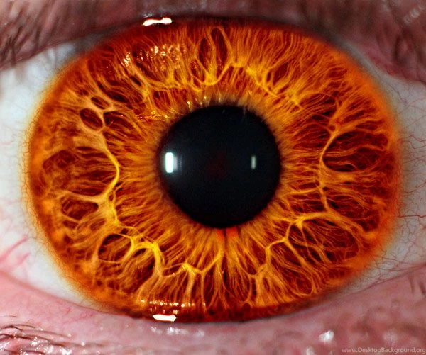 The Eye Of Sauron By ChooseCheese127 On DeviantArt