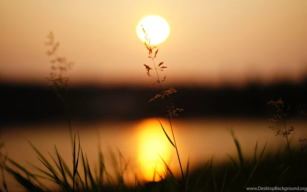 Beautiful Sunset Wallpapers Free Download