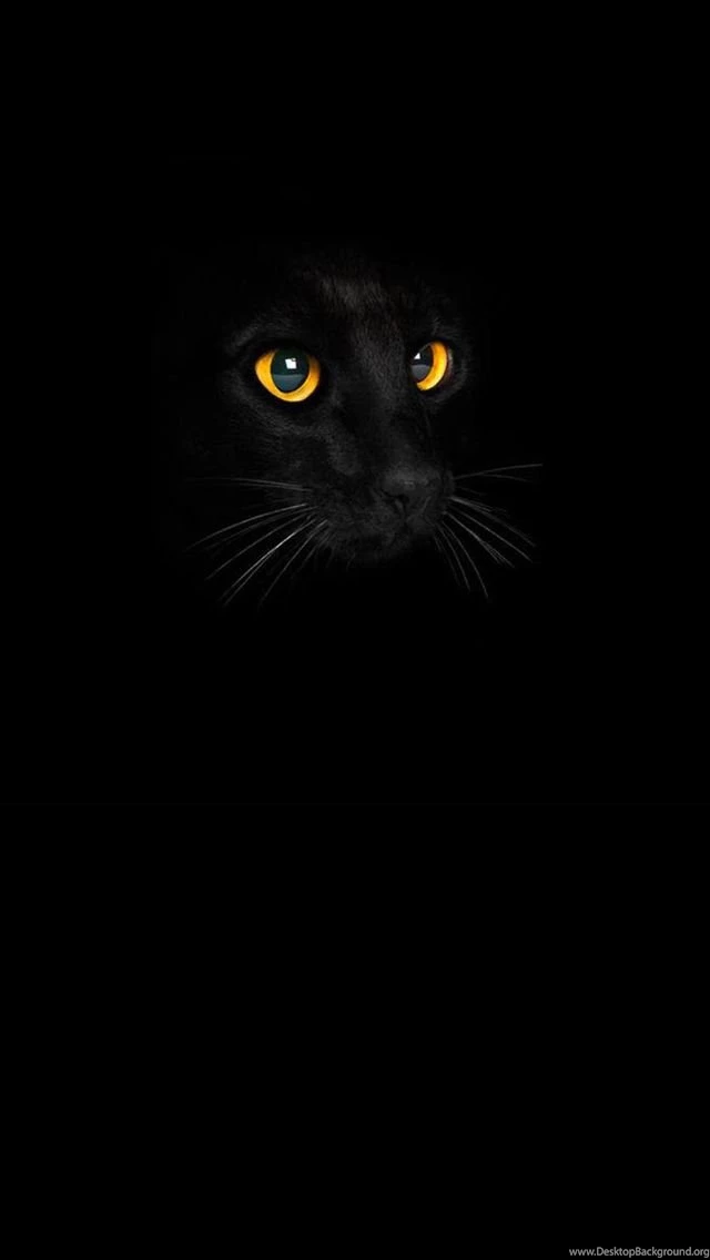 50 Dark Black Backgrounds