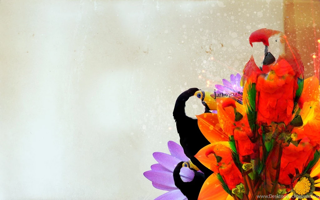 The Picture Orange Yellow Parrot