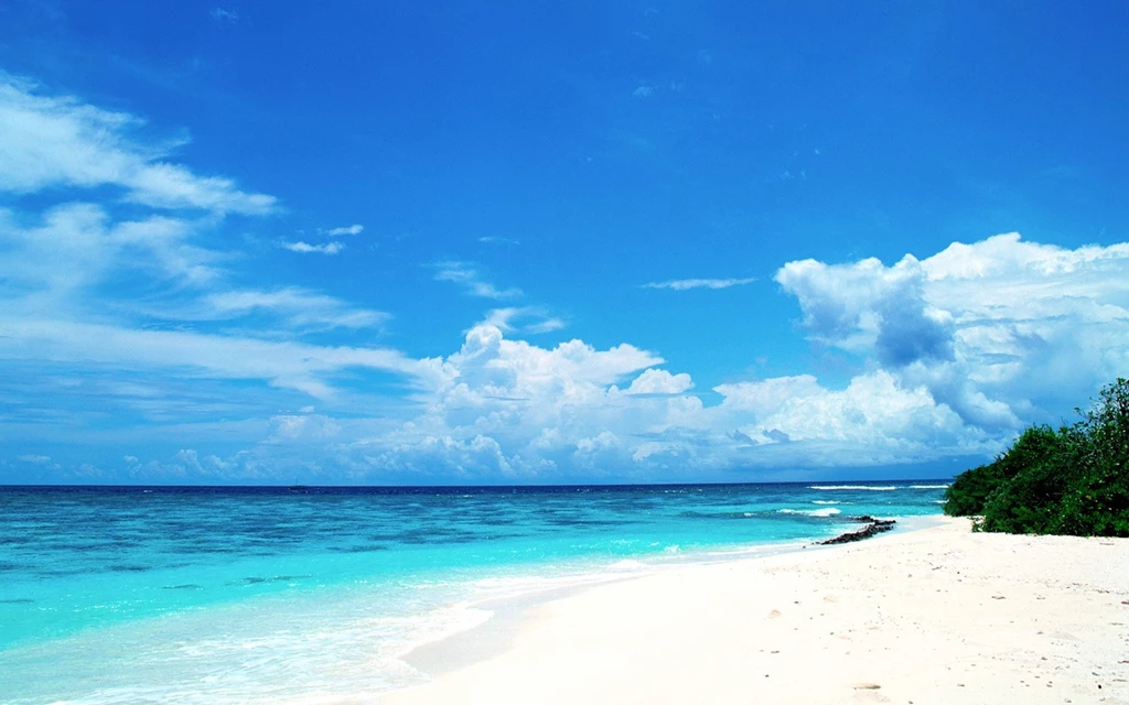 50 Impressive Nature Desktop Wallpapers