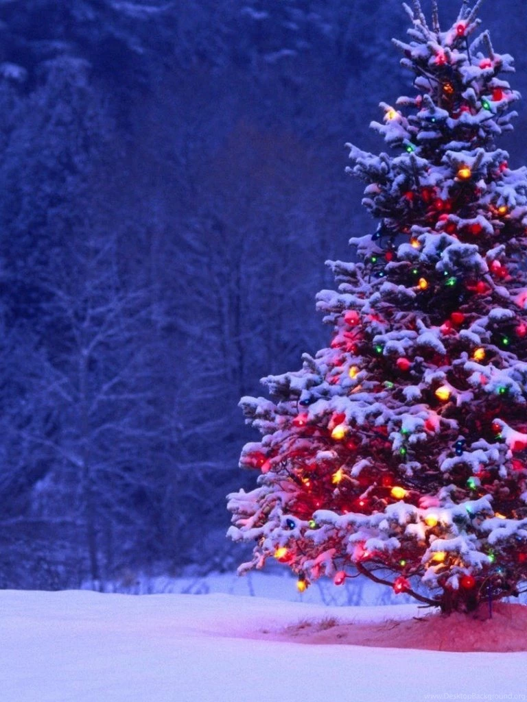 768x1024 Christmas Tree Ipad Wallpapers