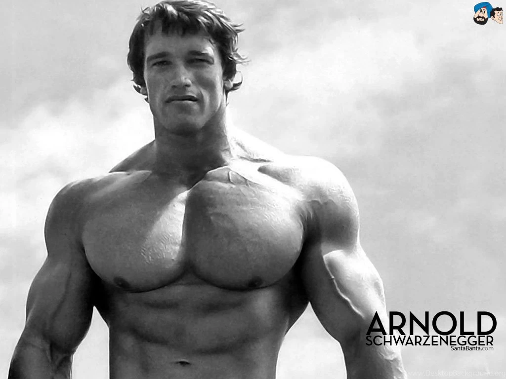 Arnold Schwarzenegger Wallpapers