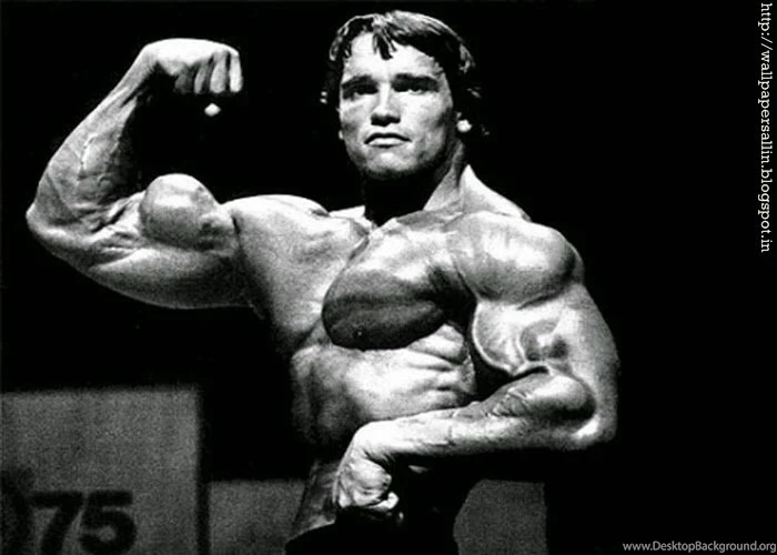 Wallpapers Gallery: Arnold Wallpapers