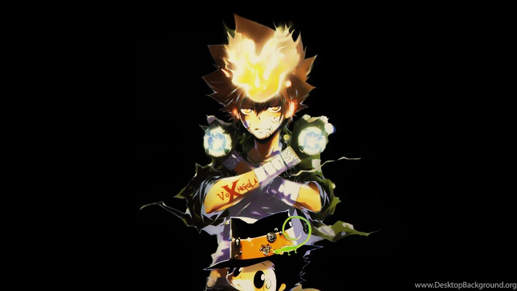 Katekyo Hitman Reborn Wallpapers (