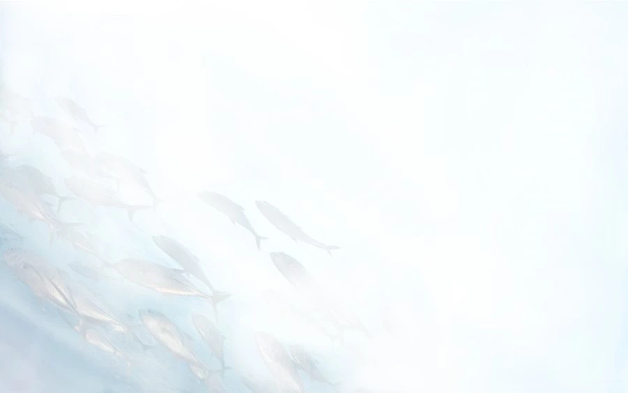 Fish Backgrounds By Catine27 On DeviantArt