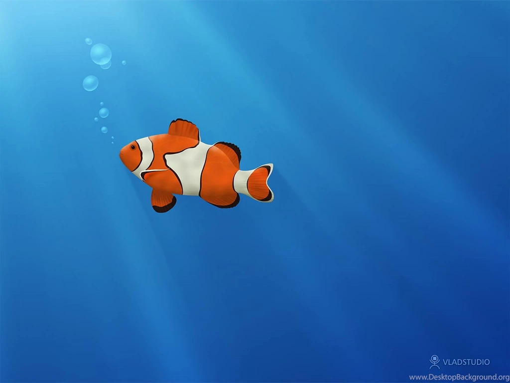 Fish Wallpaper Backgrounds