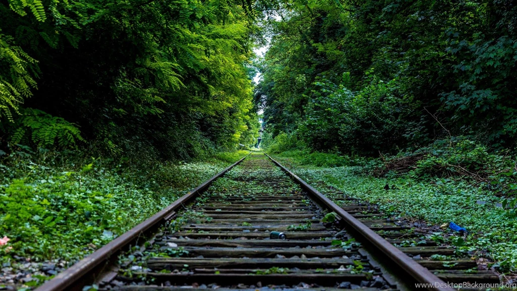 High Definition Wallpapers With Train Railway In Nature Forest