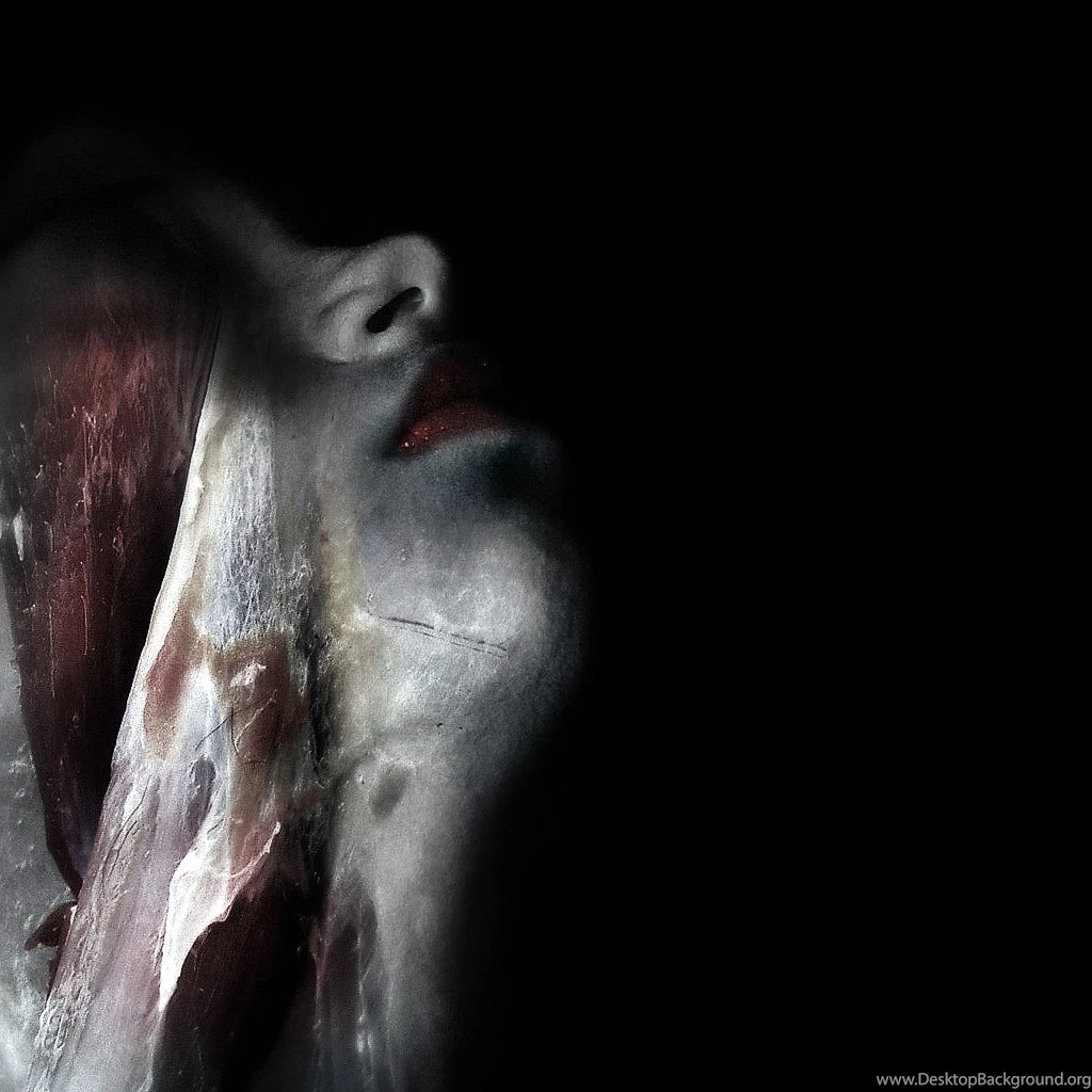 Gothic Computer Wallpapers , Bestscreenwallpaper.com , Fly Free HD ...