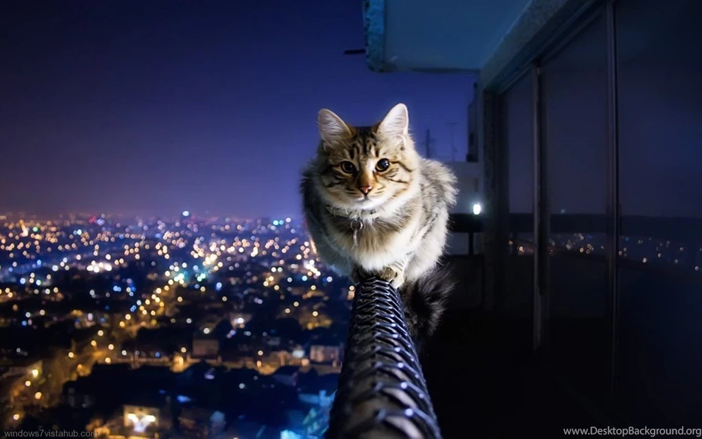 Very Cute Backgrounds Wallpapers Cave
